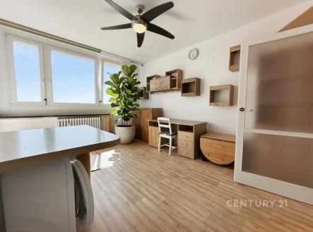 Pronájem bytu, 1+kk, 22 m²