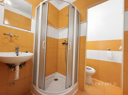 Pronájem bytu, 1+kk, 20 m²