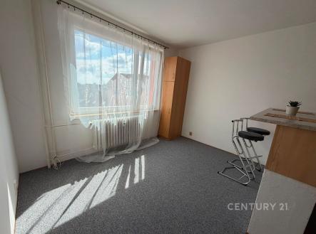 Pronájem bytu, 1+kk, 20 m²
