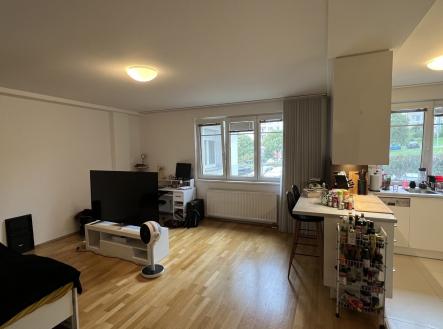 Pronájem bytu, 1+kk, 50 m²