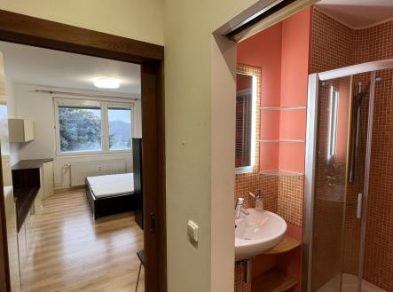 Pronájem bytu, 1+1, 34 m²