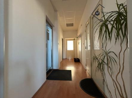 Pronájem - kanceláře, 19 m²