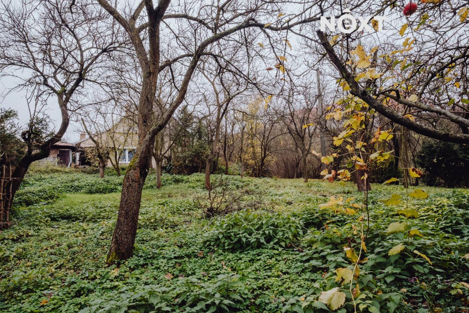 Prodej pozemek Bydlení, 437㎡