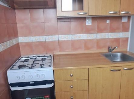 Pronájem bytu, 1+1, 49 m²