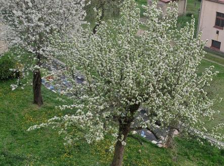 Pronájem bytu, 1+1, 49 m²