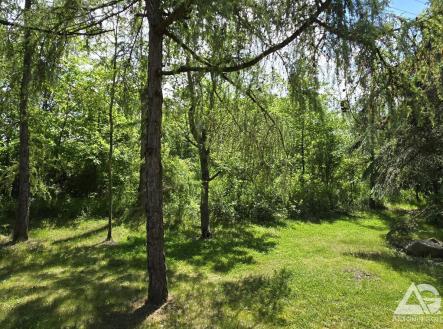 Prodej pozemku pro bydlení, 1 329 m²