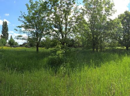 Prodej pozemku pro bydlení, 1 329 m²