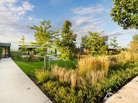 Prodej domu/vily, 407 m²