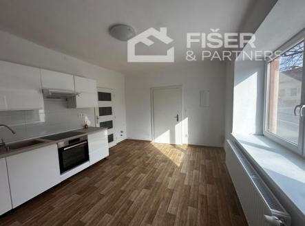 Pronájem bytu, 1+1, 39 m²