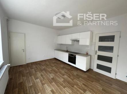 Pronájem bytu, 1+1, 39 m²