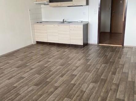 Pronájem bytu, 1+kk, 39 m²