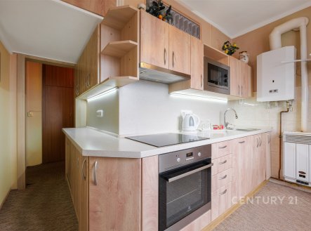 Prodej bytu, 3+1, 66 m²
