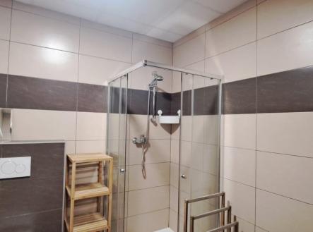 Pronájem bytu, 2+kk, 56 m²