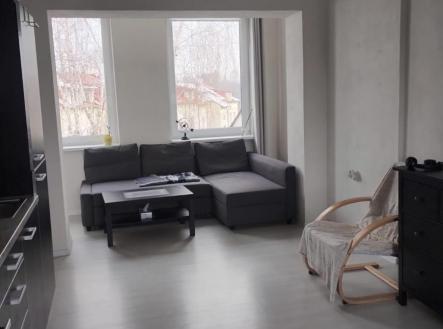 Pronájem bytu, 1+kk, 43 m²