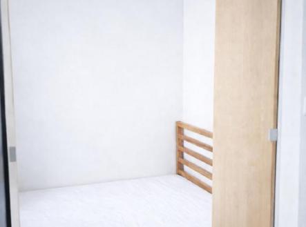 Pronájem bytu, 1+kk, 43 m²