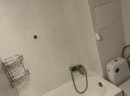 Pronájem bytu, 2+1, 56 m²