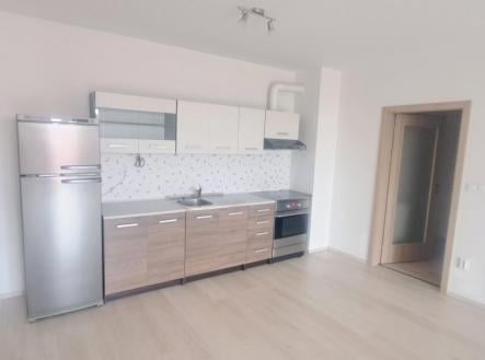 Pronájem bytu, 1+kk, 45 m²