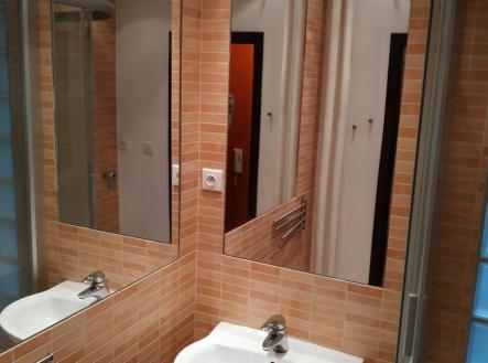 Pronájem bytu, 2+1, 56 m²