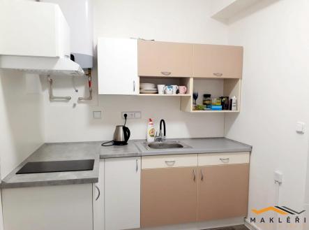 Pronájem bytu, 1+1, 48 m²