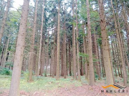 Prodej pozemku, les, 50 537 m²