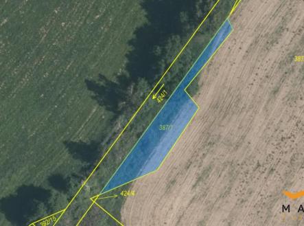 Prodej pozemku, trvalý travní porost, 16 013 m²