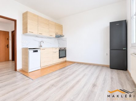 Pronájem bytu, 1+1, 41 m²