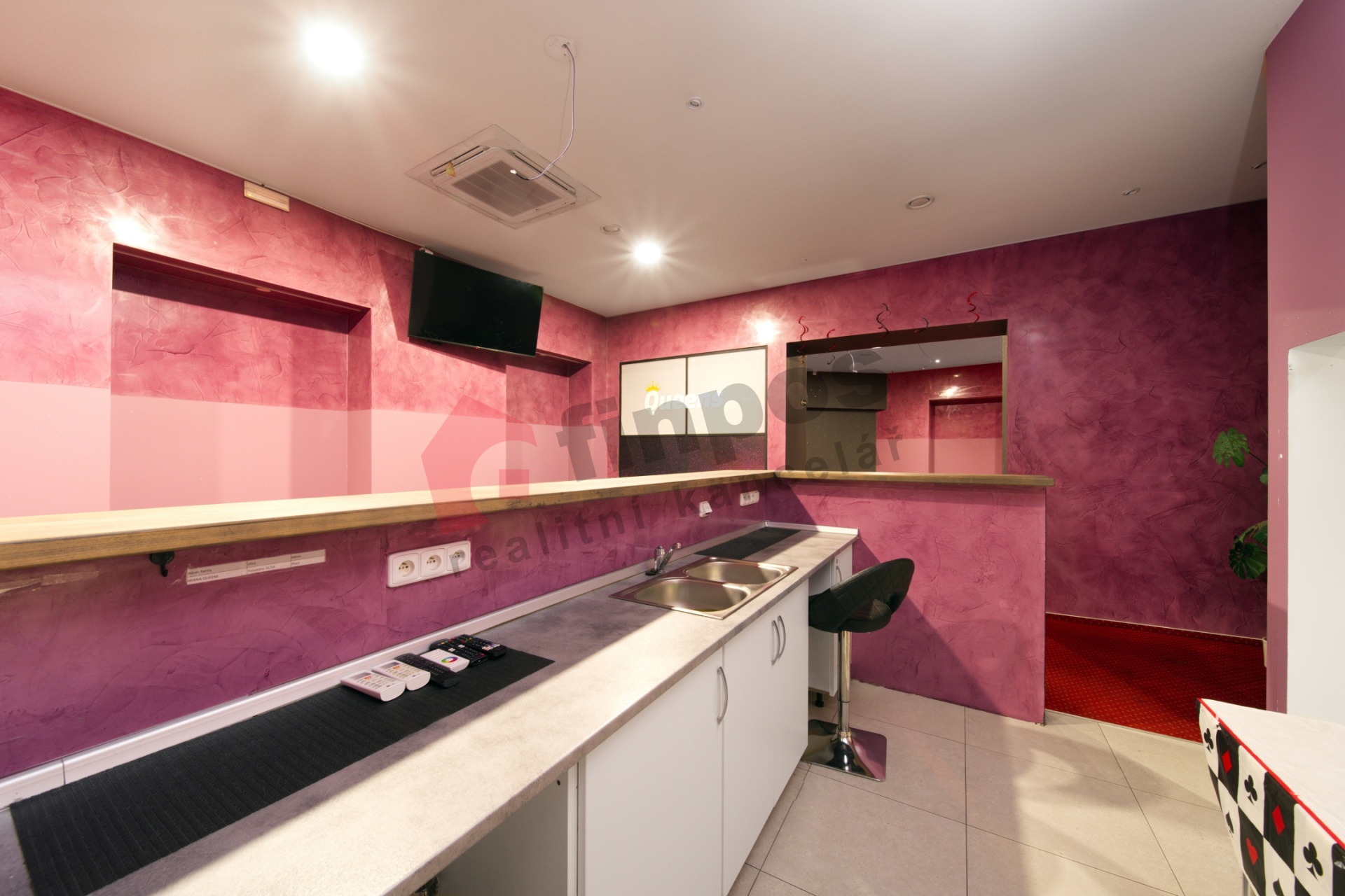 Pronájem komerčních prostor 230m2 Plzeň