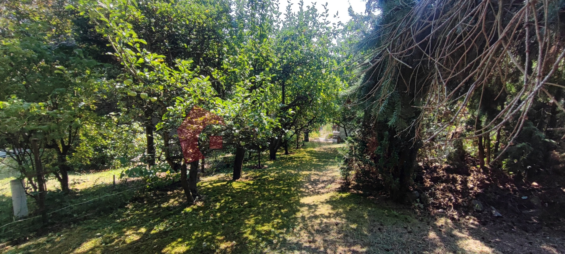 Pronájem chaty se zahradou  v Plzni na Skvrňanech