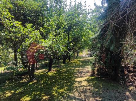 Pronájem chaty/rekreačního objektu, 39 m²