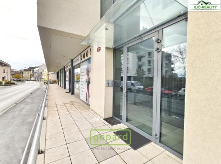 Pronájem bytu, 3+kk, 100 m²