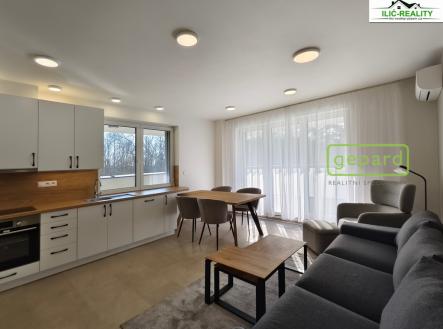 Pronájem bytu, 3+kk, 80 m²