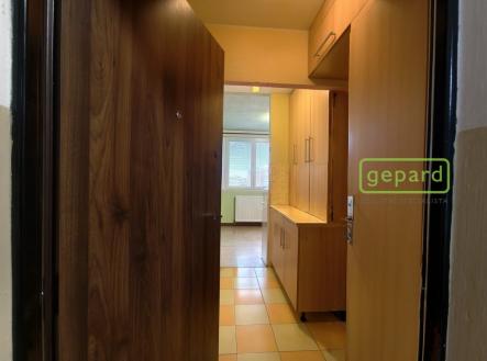 Prodej bytu, 1+kk, 20 m²
