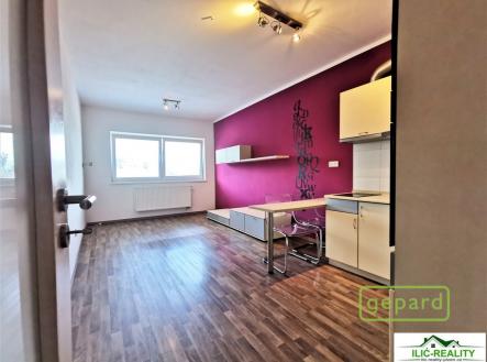Pronájem bytu, 1+kk, 32 m²