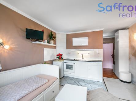 Prodej bytu, 1+kk, 23 m²