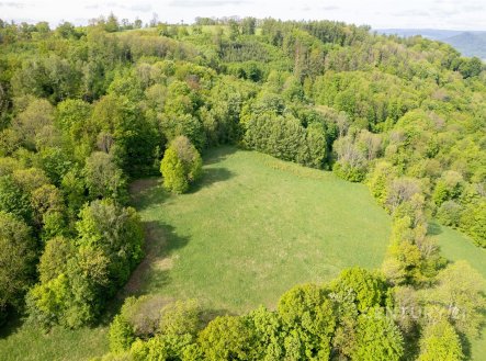 Prodej pozemku 27 274 m² v Chlumu u Děčína - louka s panoramatickým výhledem na Děčín