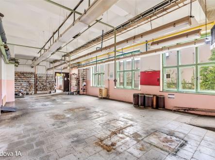 Pronájem jiné, 5 199 m²