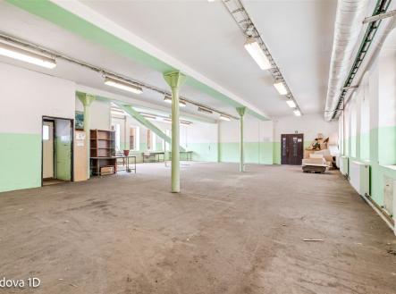 Pronájem jiné, 5 199 m²