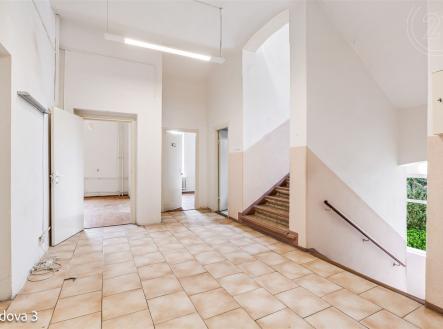 Pronájem kanceláře, 635 m²