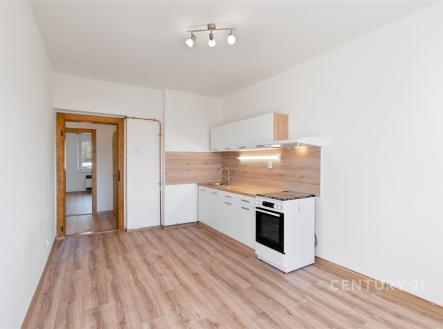 Pronájem bytu, 1+1, 39 m²