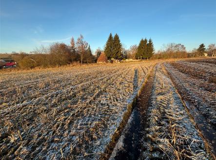 Prodej pozemku pro bydlení, 2 530 m²
