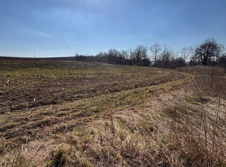 Prodej pozemku pro bydlení, 2 530 m²