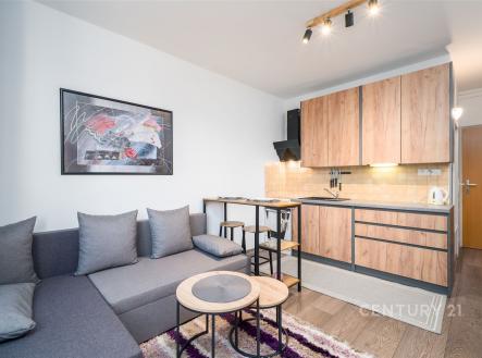 Pronájem bytu, 1+kk, 20 m²