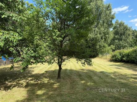 Prodej pozemku, trvalý travní porost, 924 m²