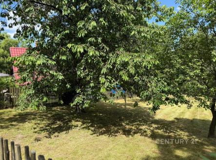 Prodej pozemku, trvalý travní porost, 924 m²