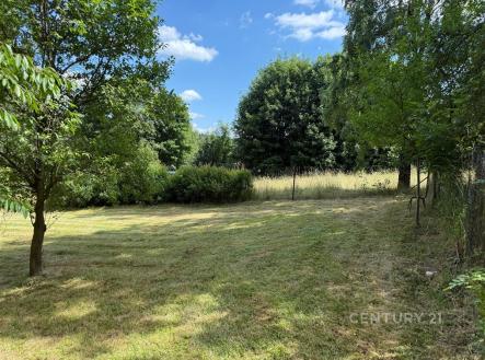 Prodej pozemku, trvalý travní porost, 924 m²