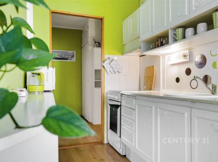 Pronájem bytu, 3+1, 67 m²