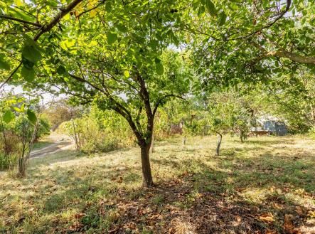 Prodej pozemku pro komerční výstavbu, 1 640 m²