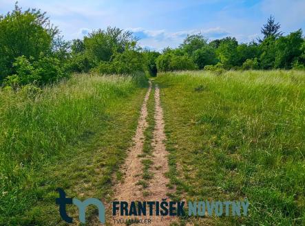 Prodej pozemku pro bydlení, 3 622 m²