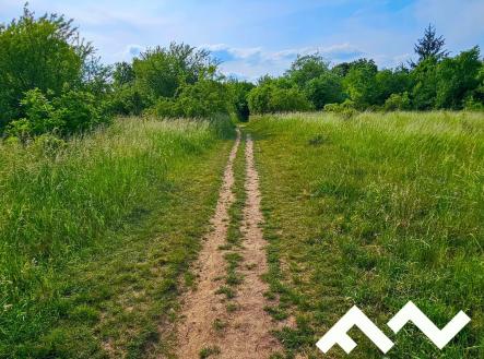 Prodej pozemku pro bydlení, 3 622 m²