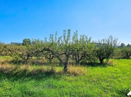 Prodej pozemku pro bydlení, 1 245 m²